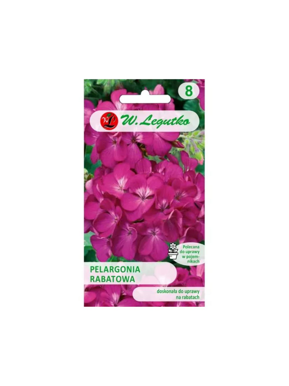 Pelargonia rabatowa Gama F1 - fioletowa