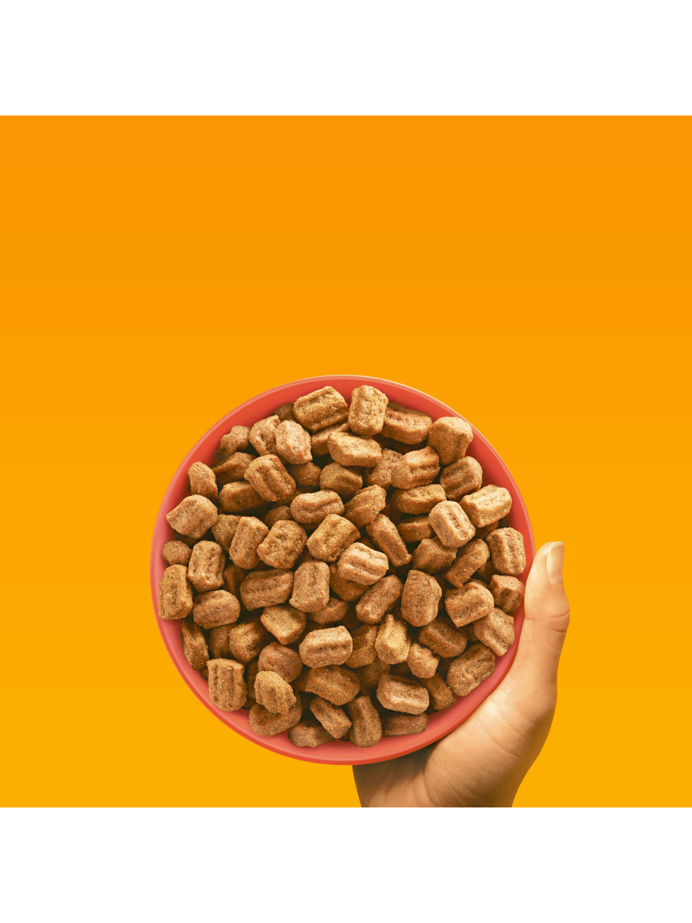 PEDIGREE® Adult 2,6 kg z wołowiną i warzywami - sucha karma pełnoporcjowa dla dorosłych psów dużych i średnich ras/Opakowanie uszkodzone (8329)!!!
