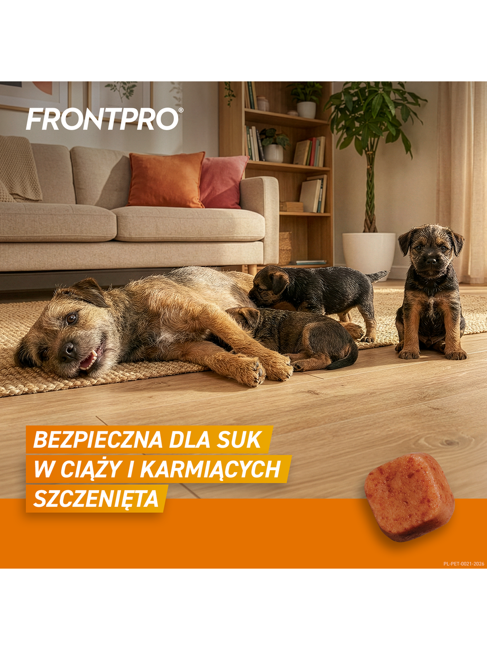 Frontpro tabletki na pchły i kleszcze M 28,3mg 4-10kg 1 TABLETKA
