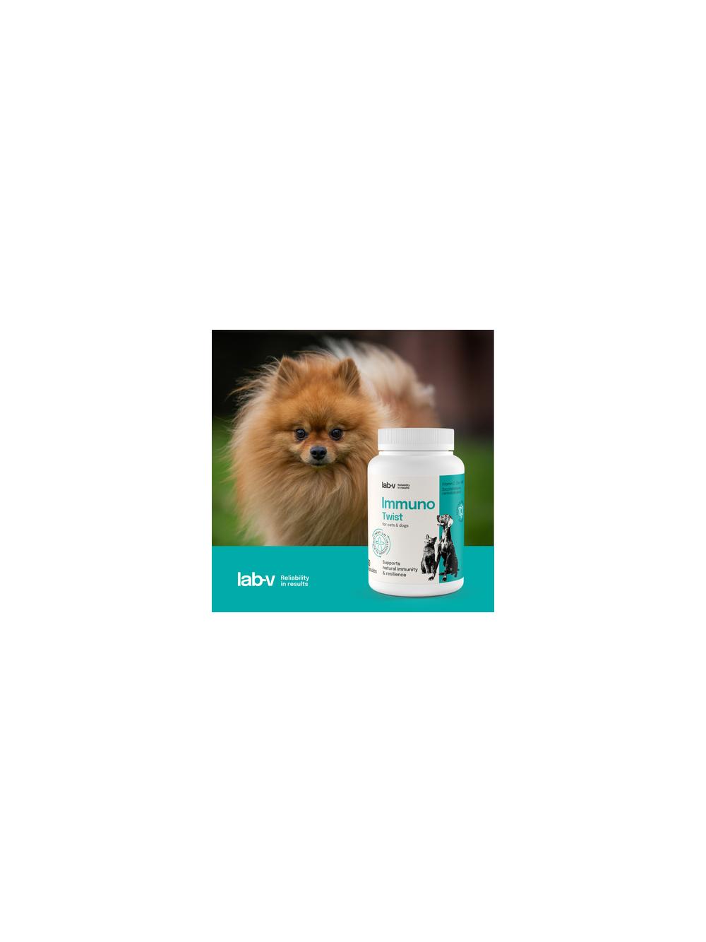 Lab-v Pet Care Box MEDIUM – Zestaw prezentowy dla psa i kota