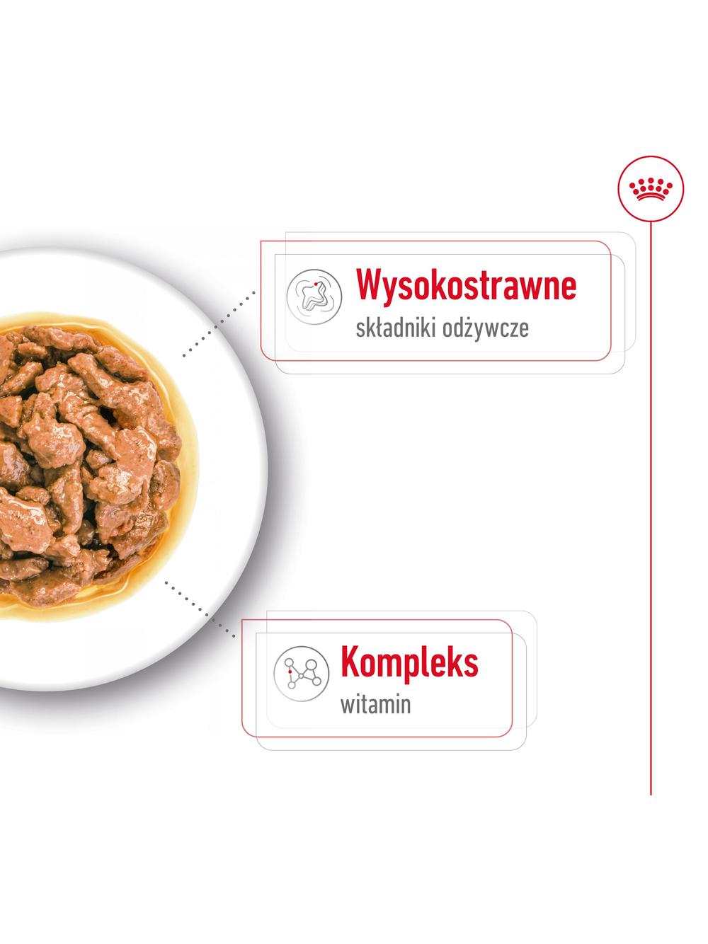 ROYAL CANIN Mini Adult 12x85g karma mokra w sosie dla psów dorosłych, ras małych