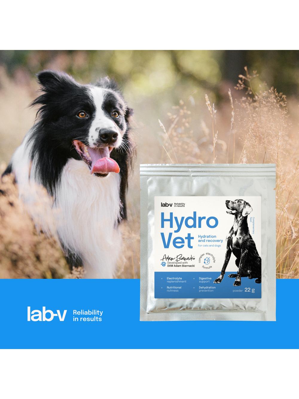 Lab-v Hydro-Vet Dog - mieszanka paszowa dietetyczna wspomagająca regenerację organizmu po przebytych operacjach dla psów 22 g