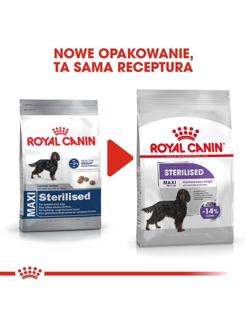 ROYAL CANIN CCN Maxi Sterilised 12kg karma sucha dla psów dorosłych, ras dużych, sterylizowanych