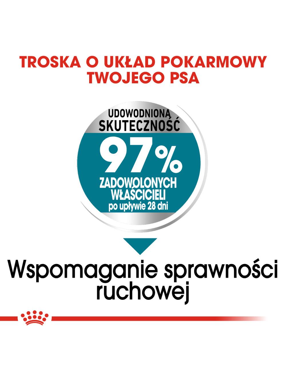 ROYAL CANIN CCN Maxi Joint Care 10kg karma sucha dla psów dorosłych, ras dużych, wspomagająca pracę stawów \Opakowanie uszkodzone (371, 980,8337)