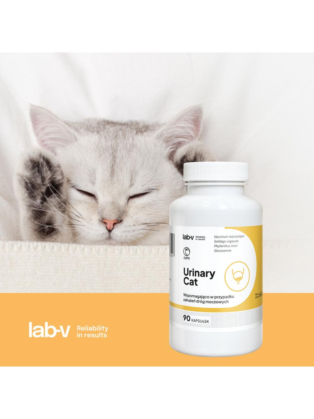 Lab-v Urinary Cat – Wsparcie układu moczowego dla kotów 90 kapsułek