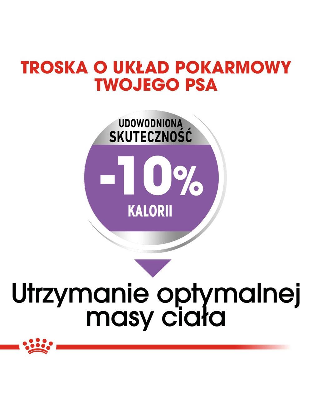 ROYAL CANIN CCN Medium Sterilised 3kg karma sucha dla psów dorosłych, ras średnich, sterylizowanych