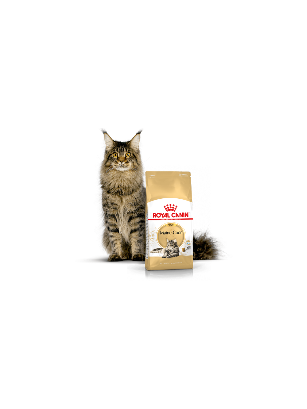ROYAL CANIN Maine Coon Adult 10kg + niespodzianka dla kota GRATIS!
