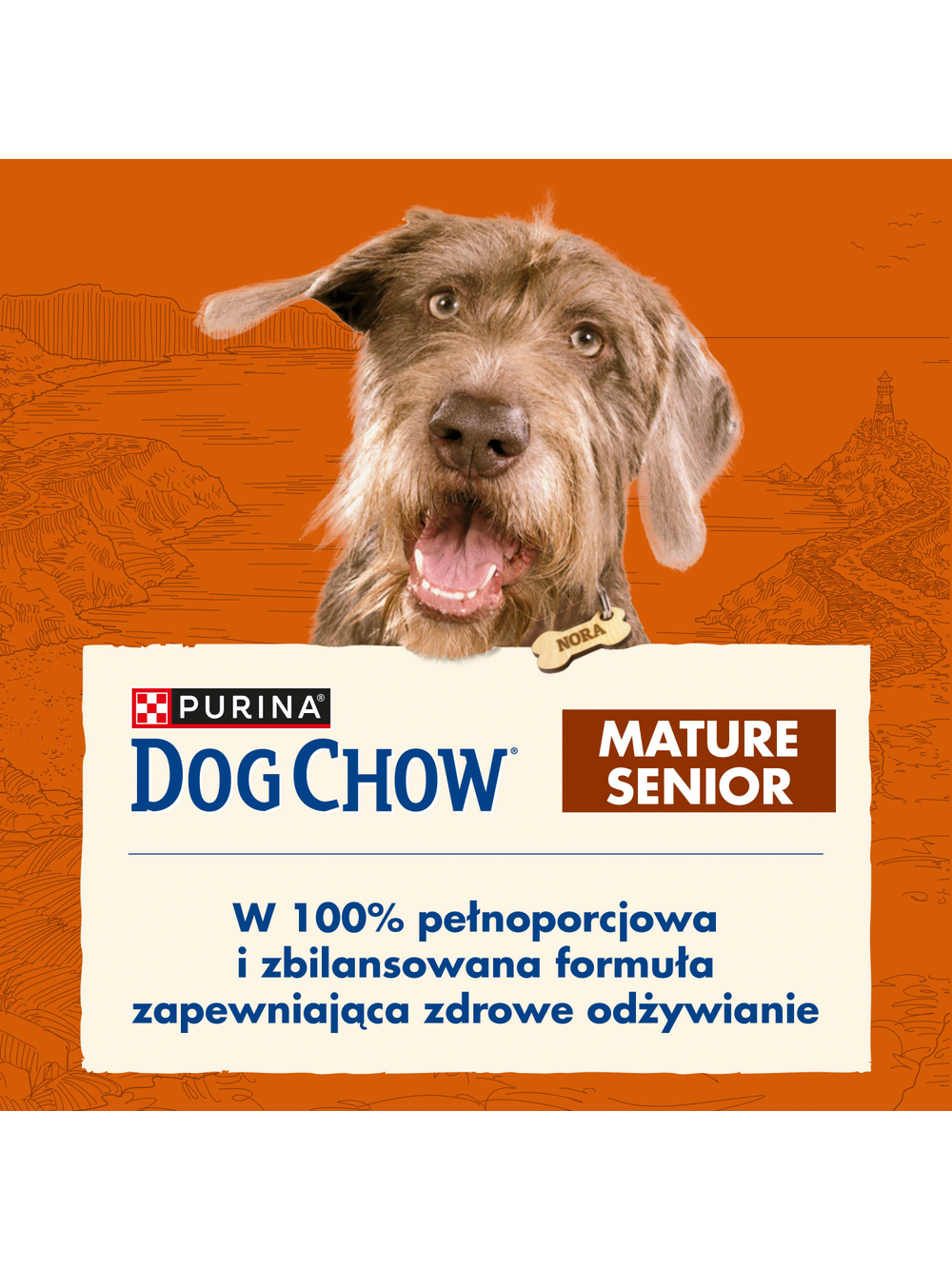 PURINA Dog Chow Mature Senior Lamb 14kg + 2,5kg