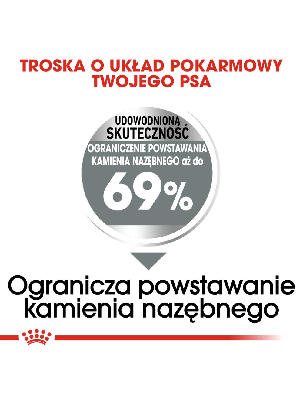 ROYAL CANIN CCN Mini Dental Care 8kg karma sucha dla psów dorosłych, ras małych, redukująca powstawanie kamienia nazębnego