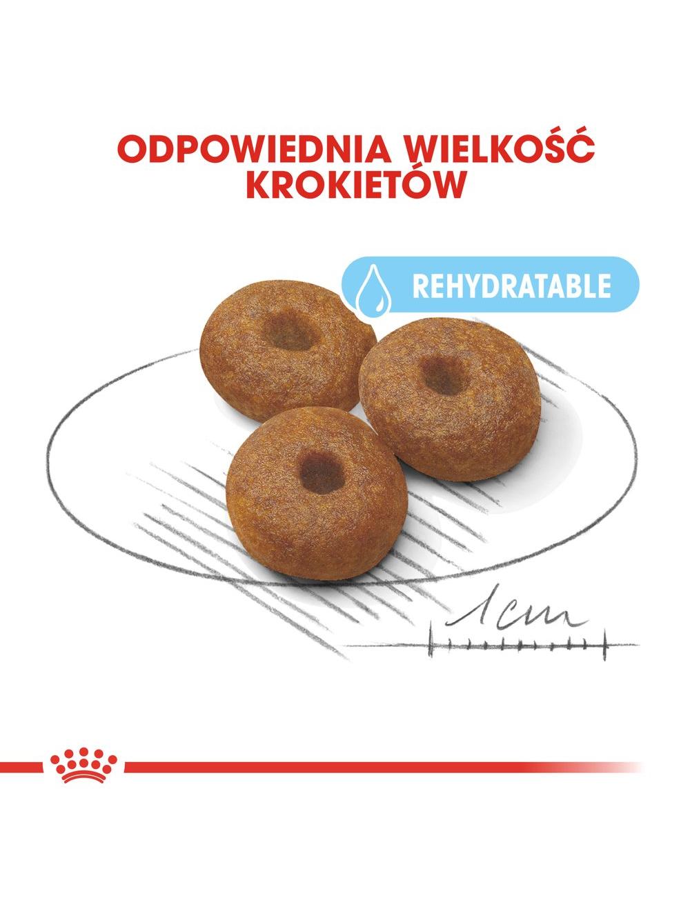 ROYAL CANIN Maxi Starter Mother&Babydog 15kg + niespodzianka dla psa GRATIS!