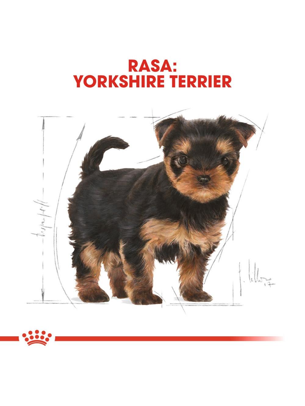 ROYAL CANIN Yorkshire Terrier Puppy 7,5kg karma sucha dla szczeniąt do 10 miesiąca, rasy yorkshire terrier