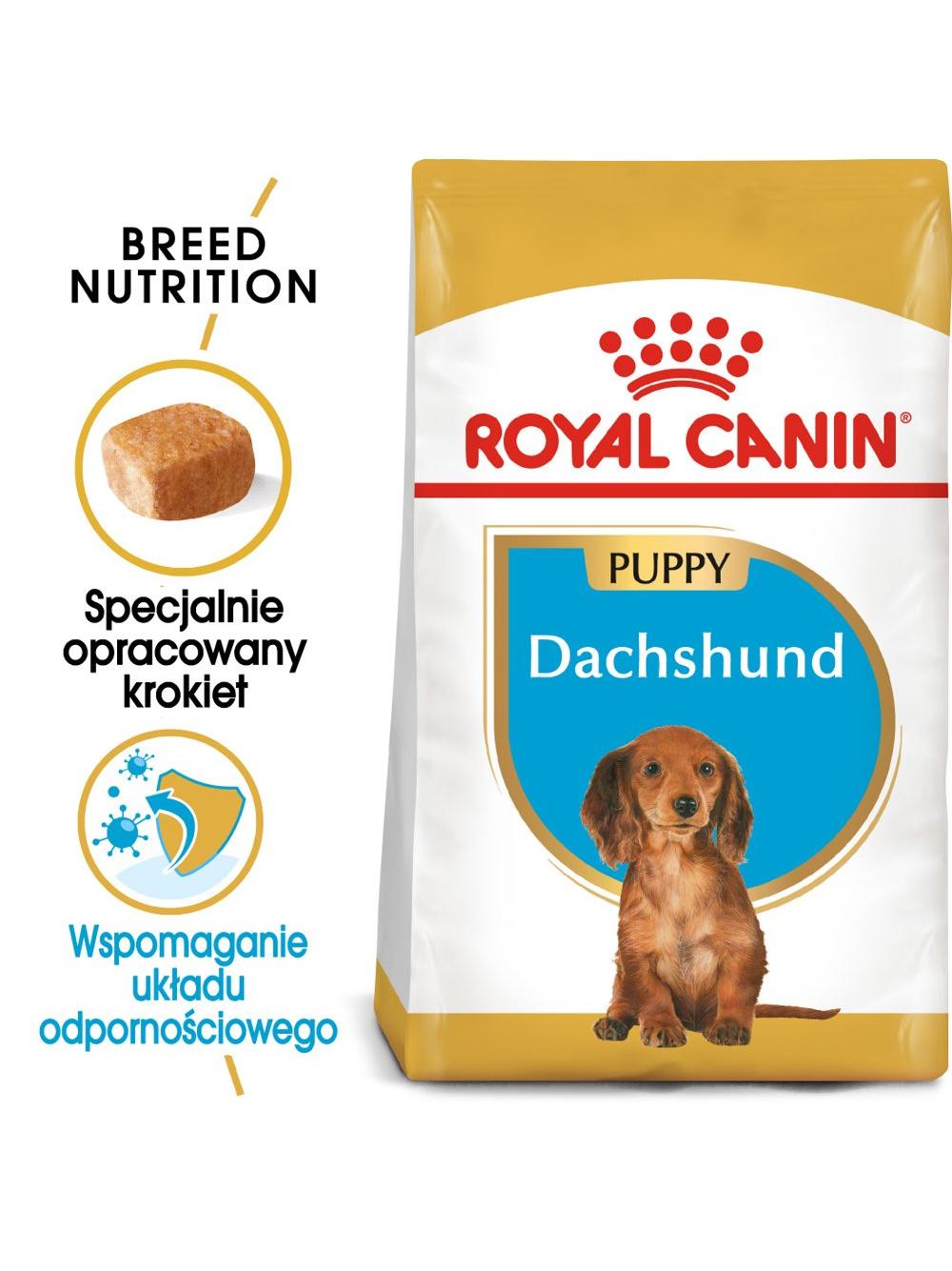 ROYAL CANIN Dachshund Puppy 1,5kg karma sucha dla szczeniąt do 10 miesiąca, rasy jamnik