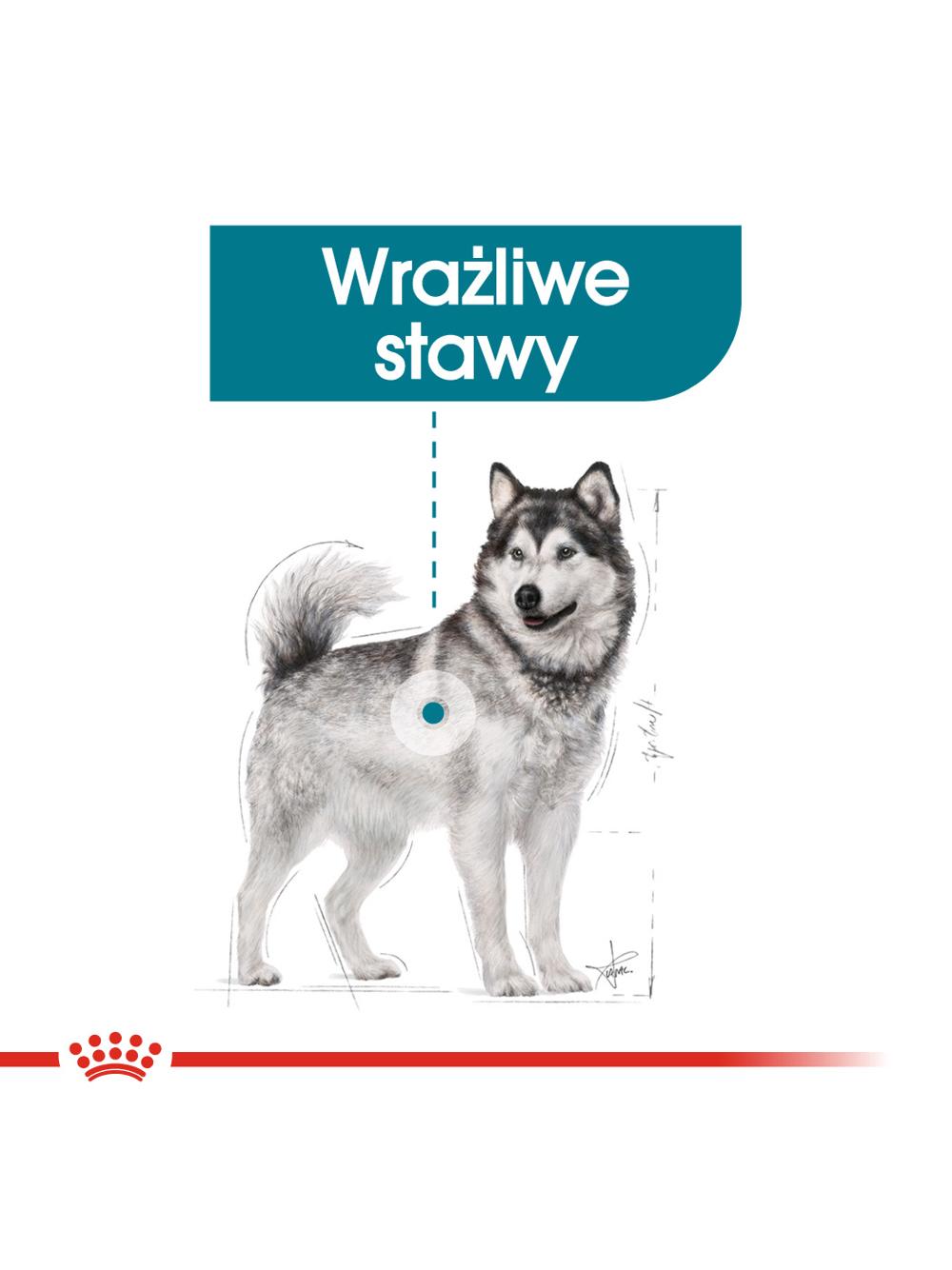 ROYAL CANIN CCN Maxi Joint Care 10kg karma sucha dla psów dorosłych, ras dużych, wspomagająca pracę stawów \Opakowanie uszkodzone (371, 980,8337)
