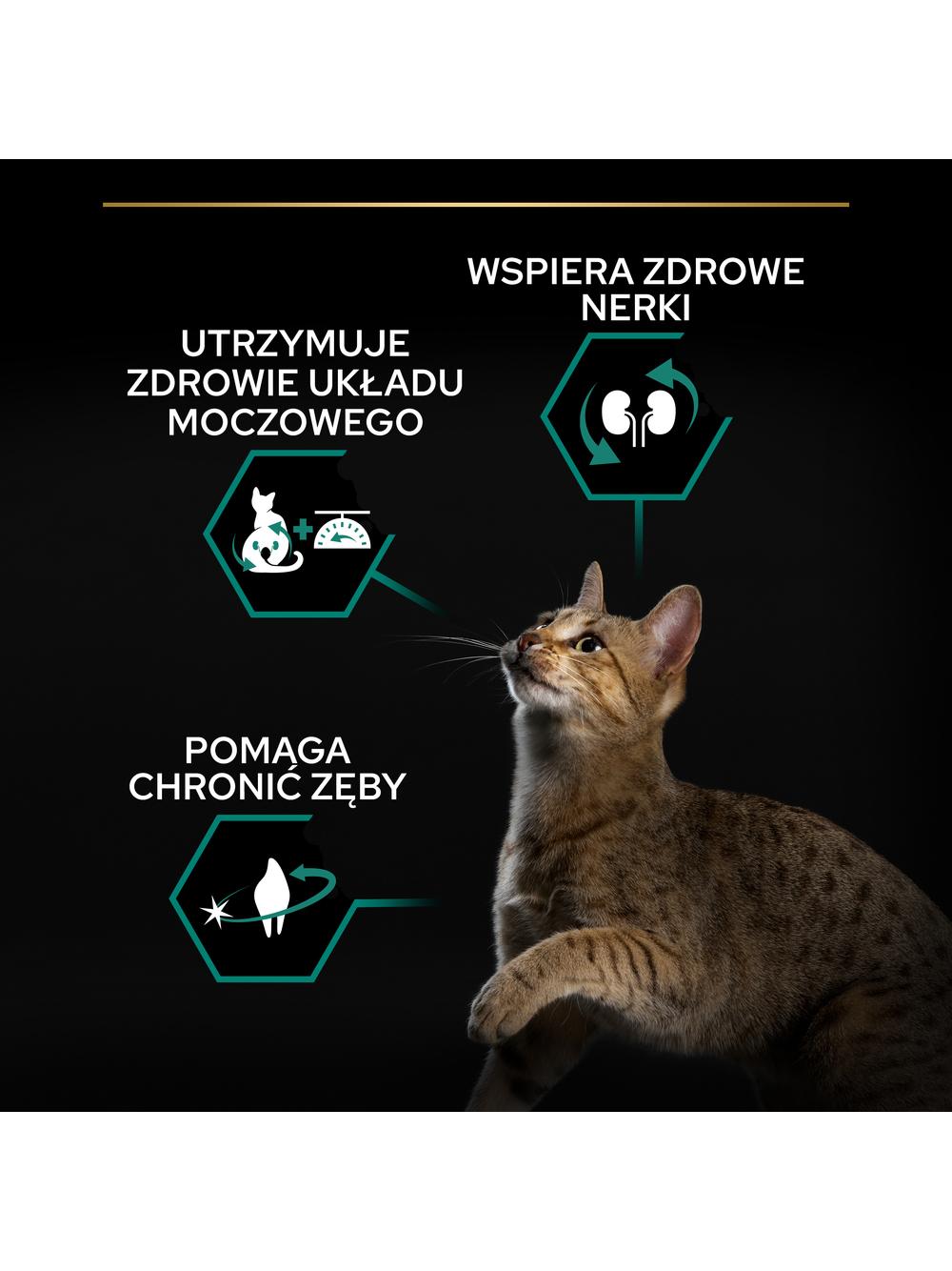 PRO PLAN Sterilised Renal Karma dla kotów bogata w indyka 10 kg /Opakowanie uszkodzone (7741,7937,7940,8398,8573)!!!