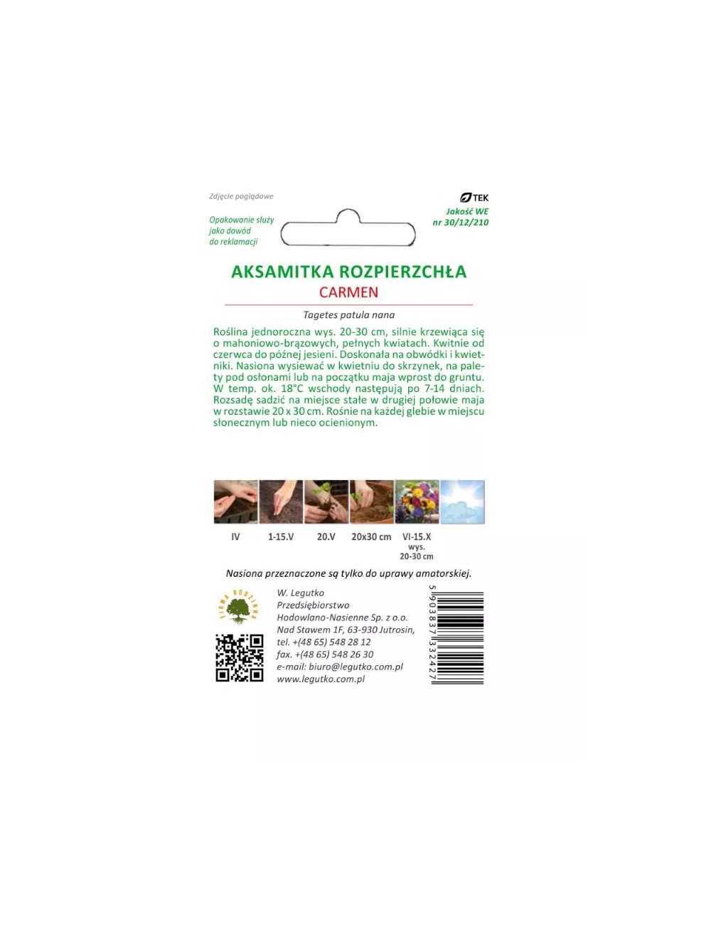 Aksamitka rozpierzchła Carmen mahoniowo-czerwona 1.50g