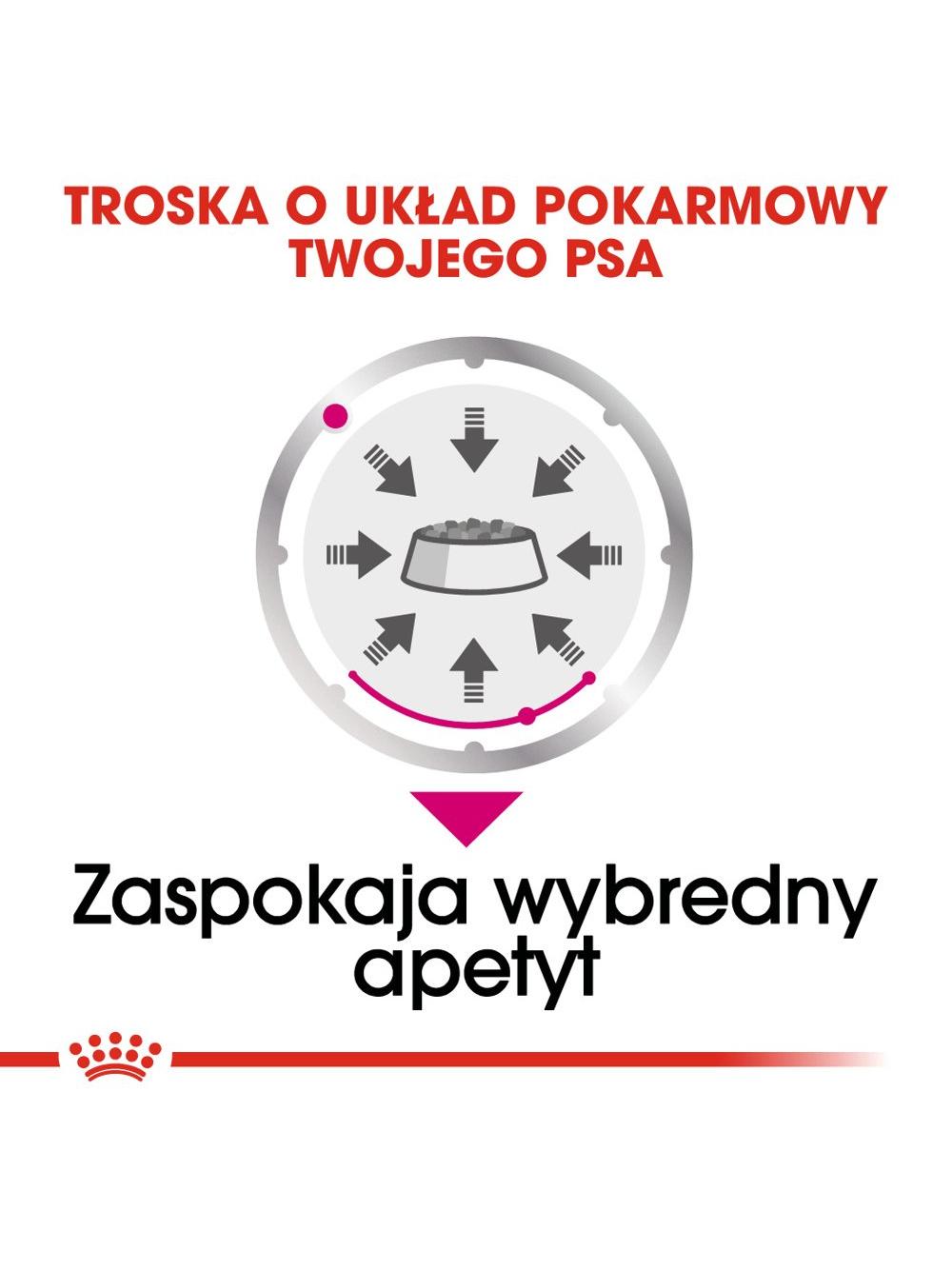ROYAL CANIN CCN Exigent 12x85g karma mokra - pasztet dla psów dorosłych, wybrednych