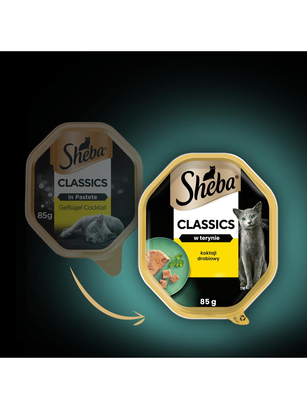 SHEBA Classics tacka 85 g – mokra karma pełnoporcjowa dla dorosłych kotów, koktajl drobiowy, w terynie