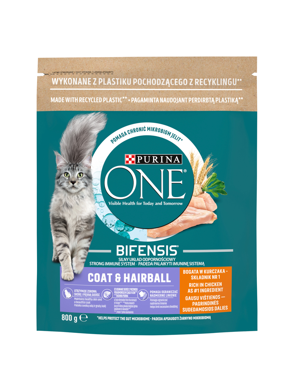 Purina One Cat Coat & Hairball Karma dla kotów z kurczaka 800g