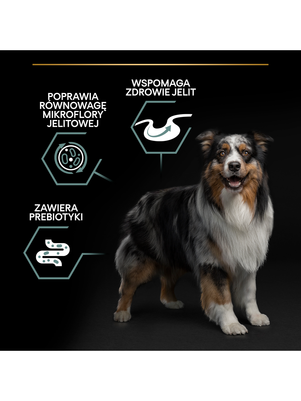 PRO PLAN Sensitive Digestion Medium Adult Karma dla psów bogata w jagnięcinę 14kg + 2x DentaStix GRATIS!!