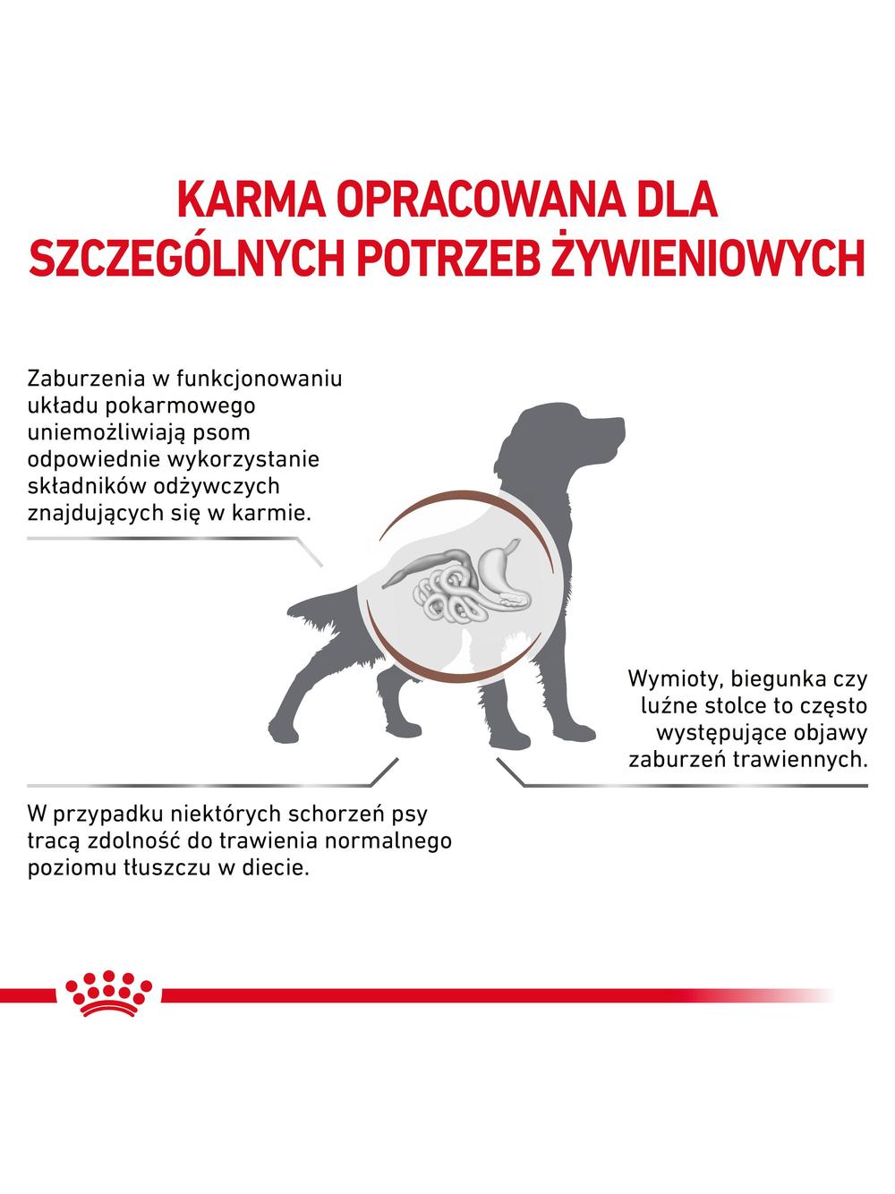 ROYAL CANIN Dog Gastro Intestinal Low Fat 10,5kg sucha karma o obniżonej zawartości tłuszczu dla psów z zaburzeniami żołądkowo-jelitowymi / Opakowanie uszkodzone (9376) !!!