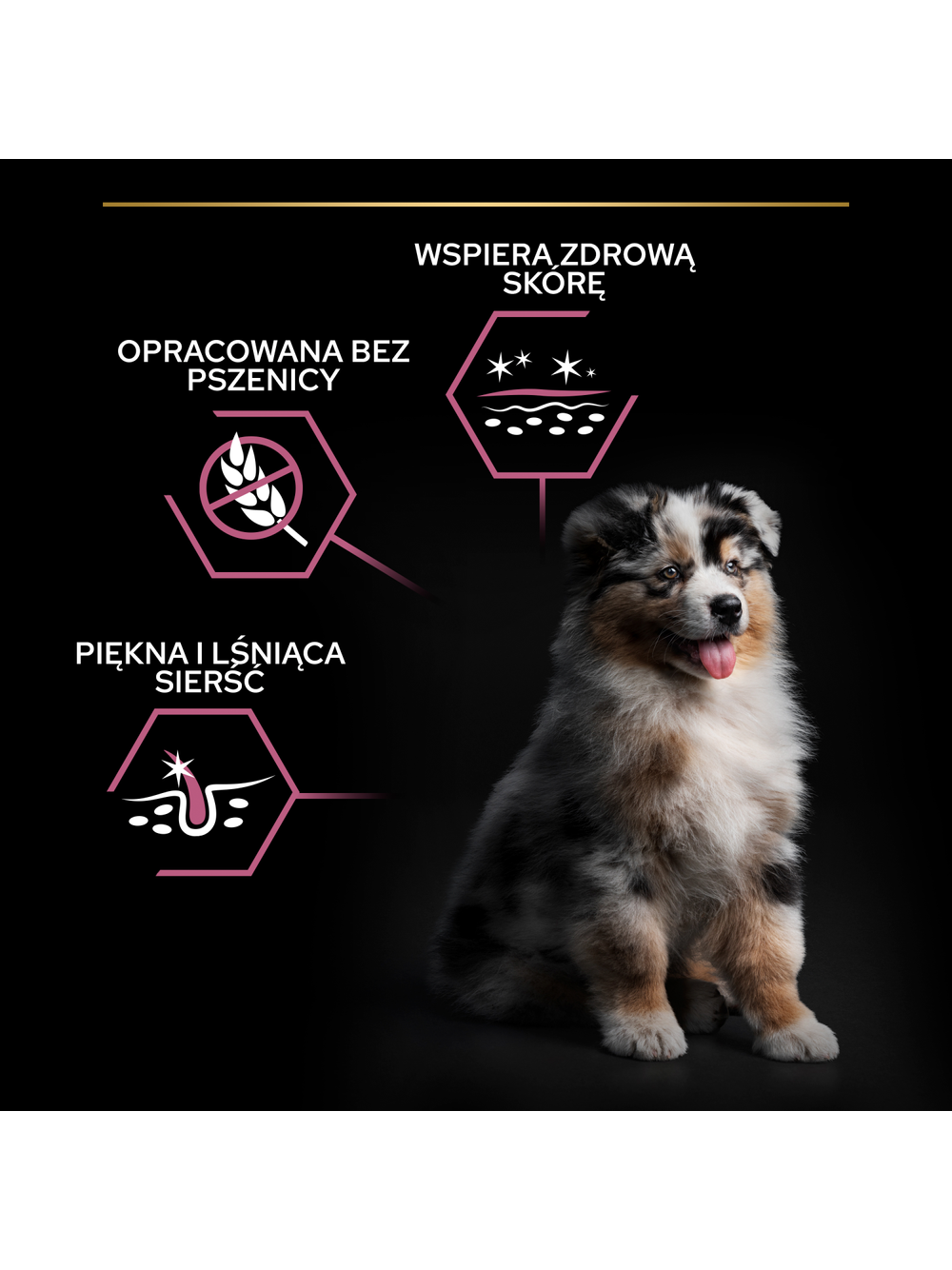 PRO PLAN Sensitive Skin Puppy Karma dla szczeniąt bogata w łososia 12kg