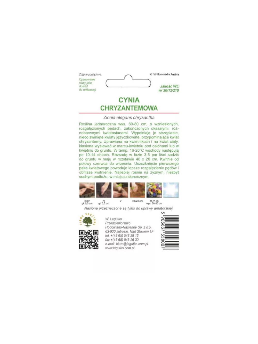 Cynia wytworna chryzantemowa mieszanka