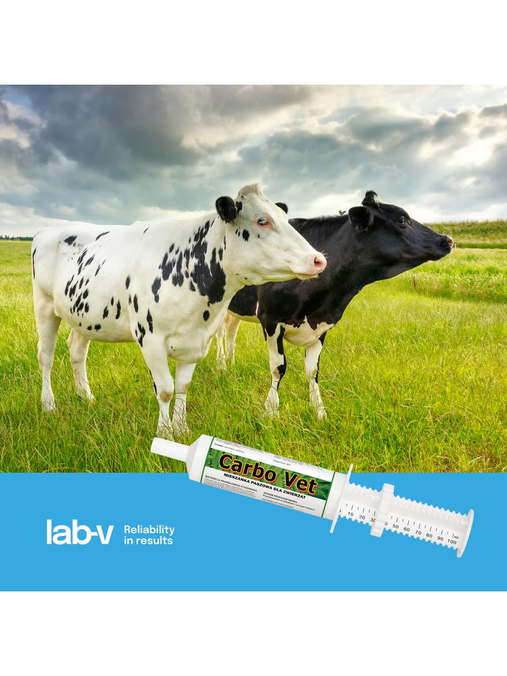 Lab-v Carbo Vet - Preparat na biegunkę, zatrucia 100ml