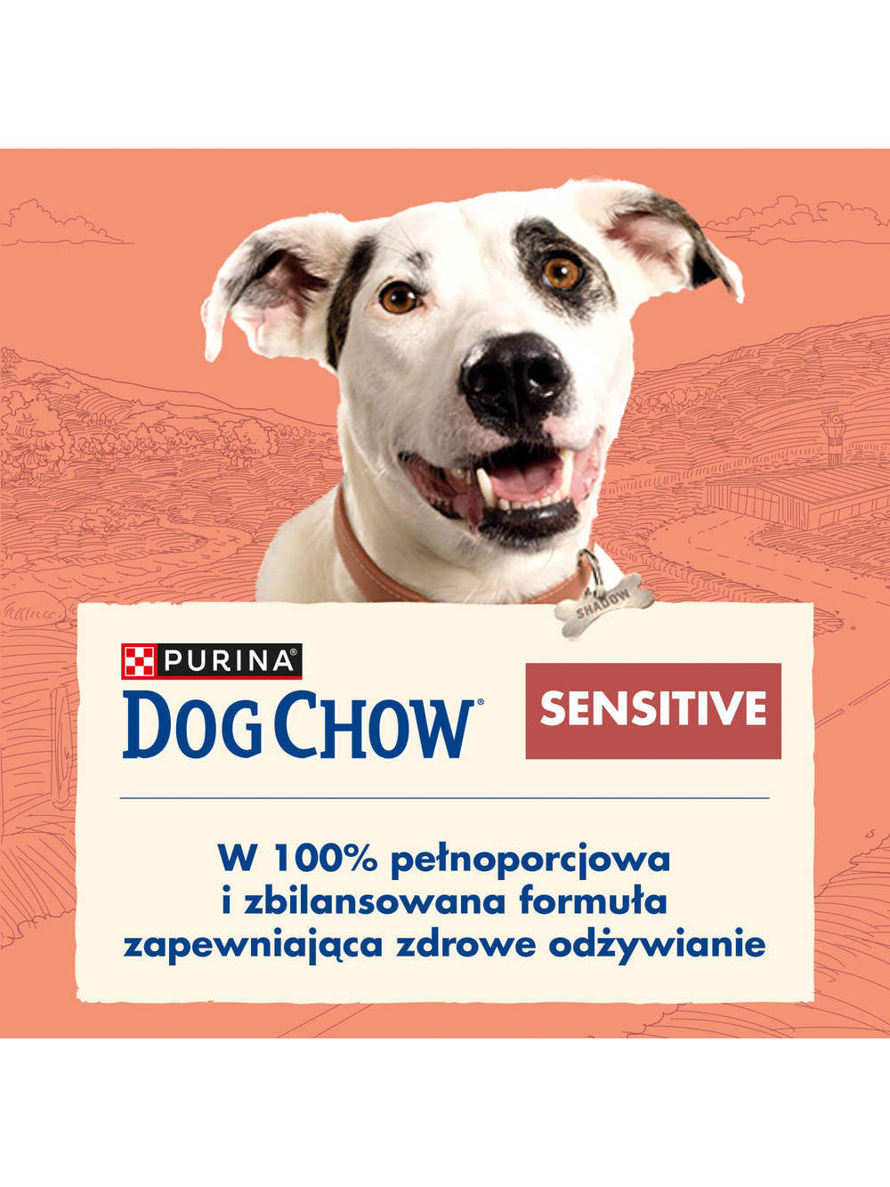 PURINA Dog Chow Adult Sensitive Salmon 14kg