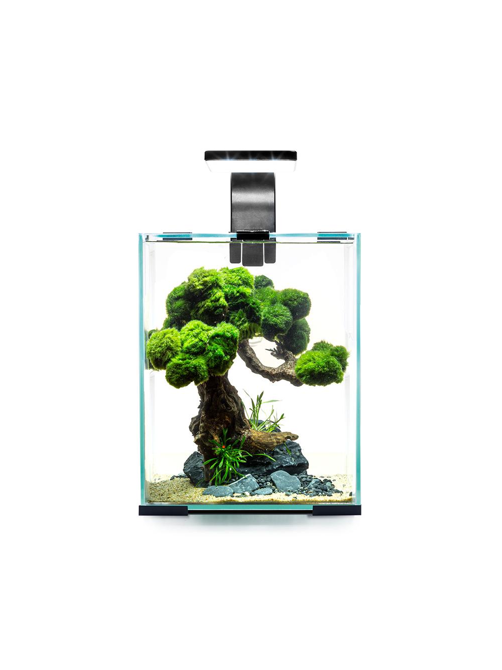 AQUAEL Zestaw Aquael Shrimp Set Day & Night [30l] - czarny
