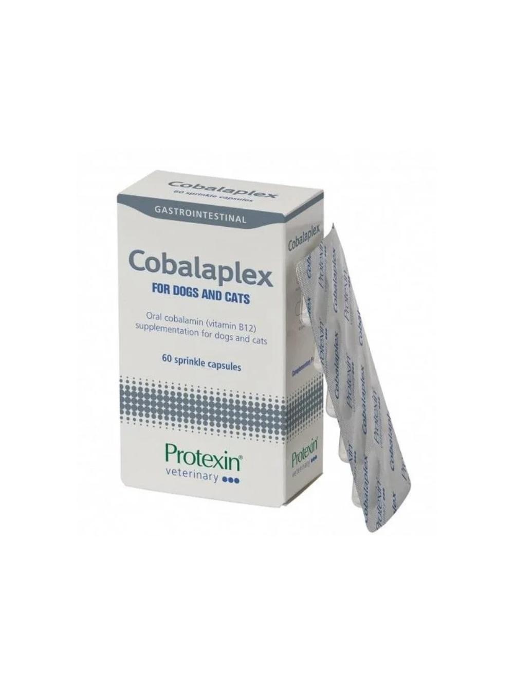 Protexin Cobalaplex 60 kapsułek probiotyk dla psa i kota