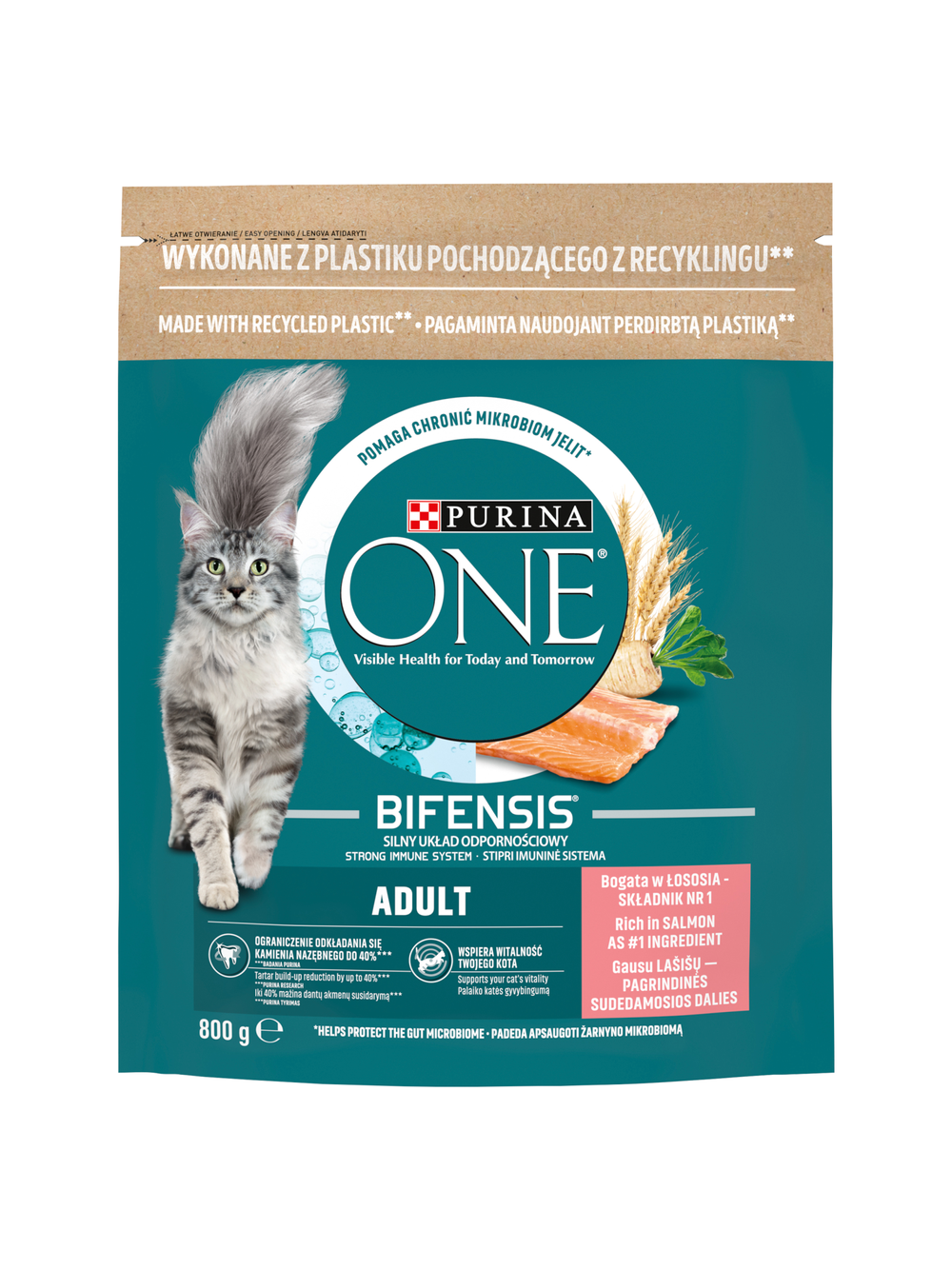 Purina One Cat Adult Karma z łososiem dla kota 800g