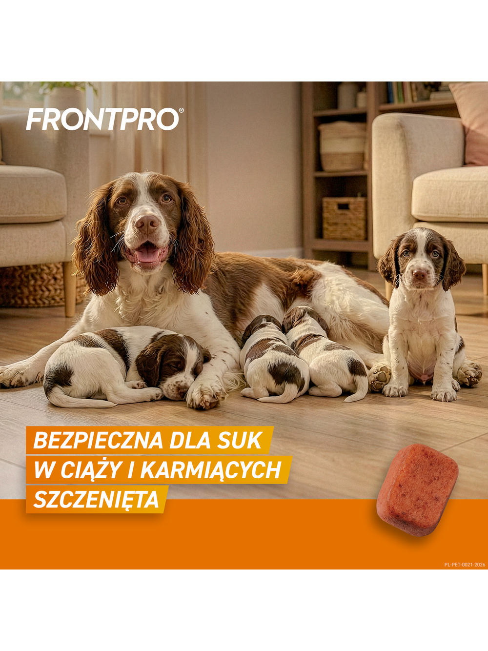 Frontpro tabletki na pchły i kleszcze L 68mg 10-25kg 1 TABLETKA