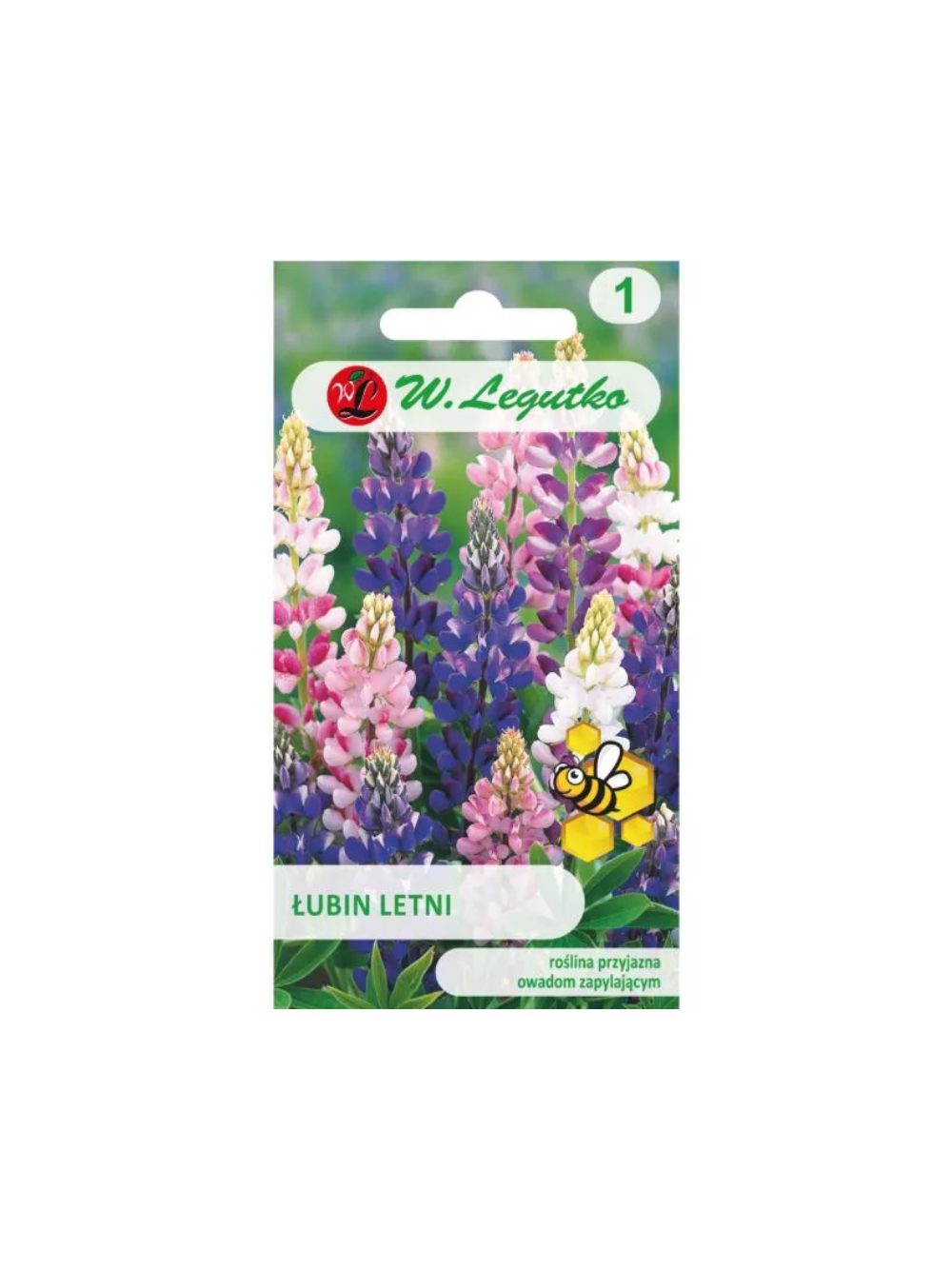 Łubin letni mieszanka