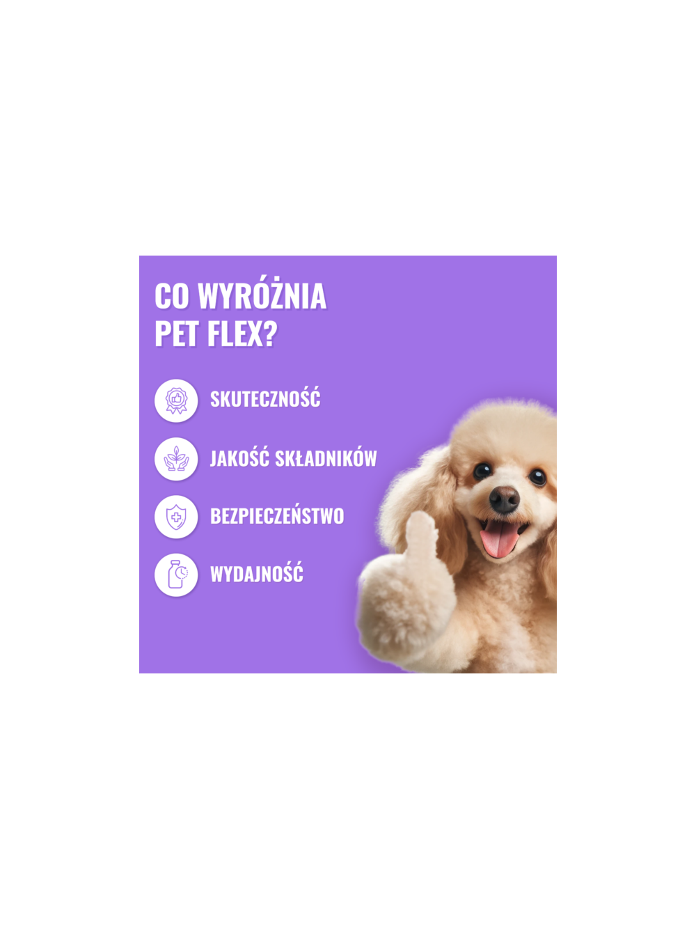 PET FLEX – Preparat na stawy i mobilność dla zwierząt 500ml