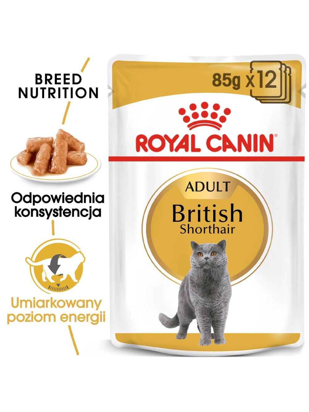ROYAL CANIN British Shorthair Adult saszetka 12x85g (Sos) karma mokra w sosie dla kotów dorosłych rasy brytyjski krótkowłosy