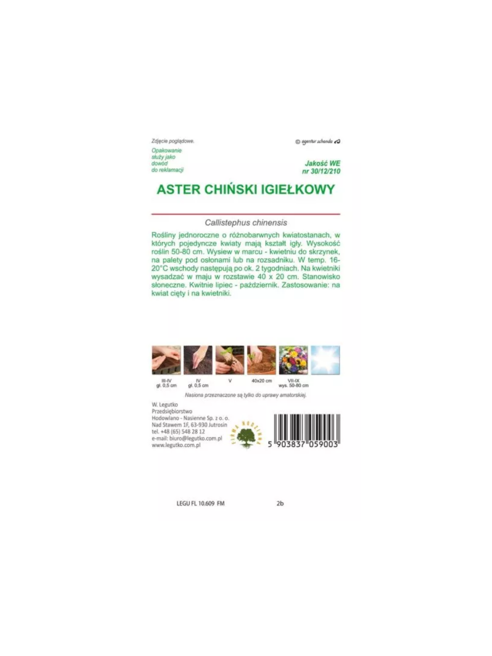 Aster chiński igiełkowy mieszanka