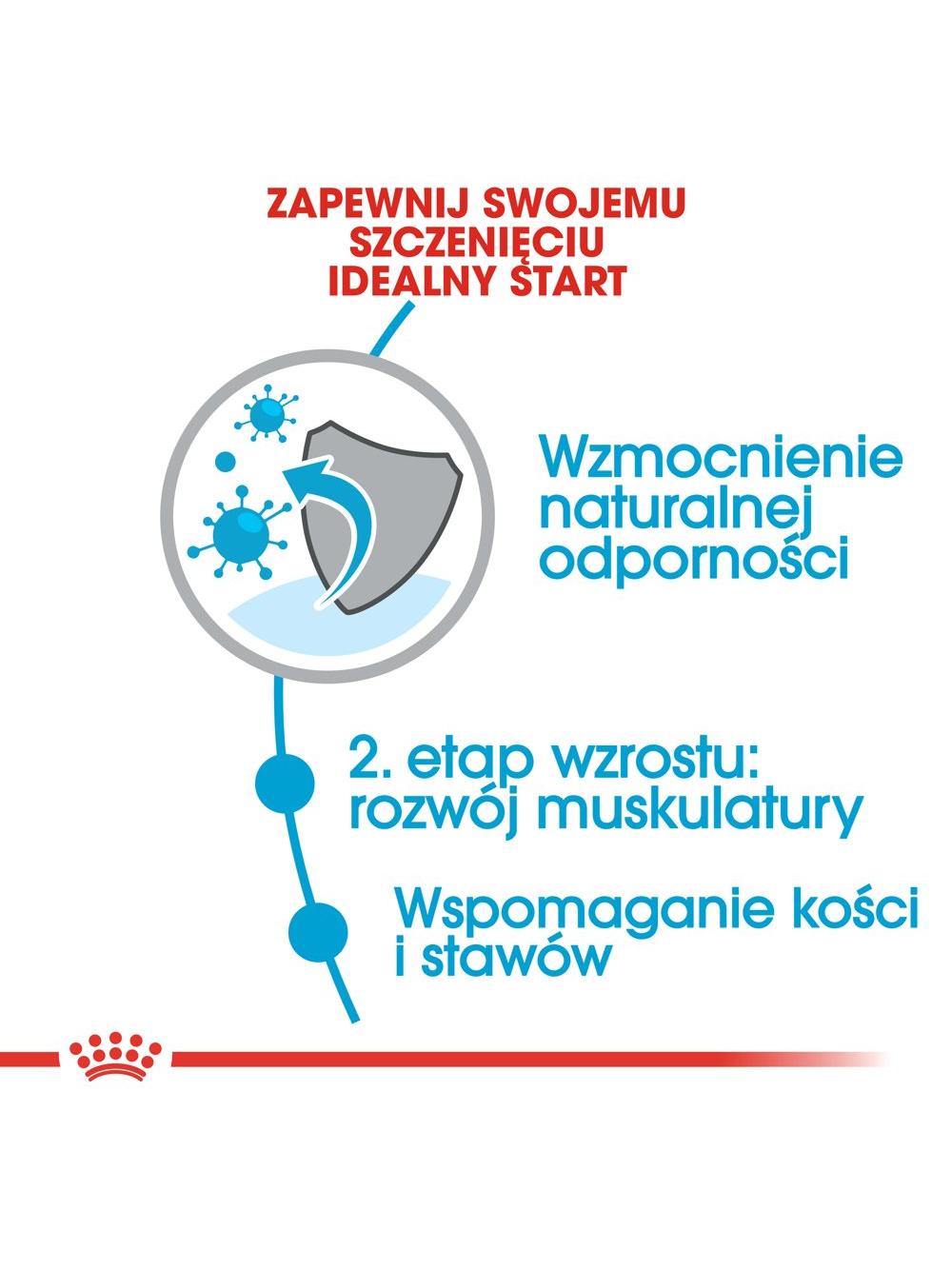 ROYAL CANIN Giant Junior 15kg karma sucha dla szczeniąt  od 8 do 18/24 miesiąca życia, ras olbrzymich + niespodzianka dla psa GRATIS!