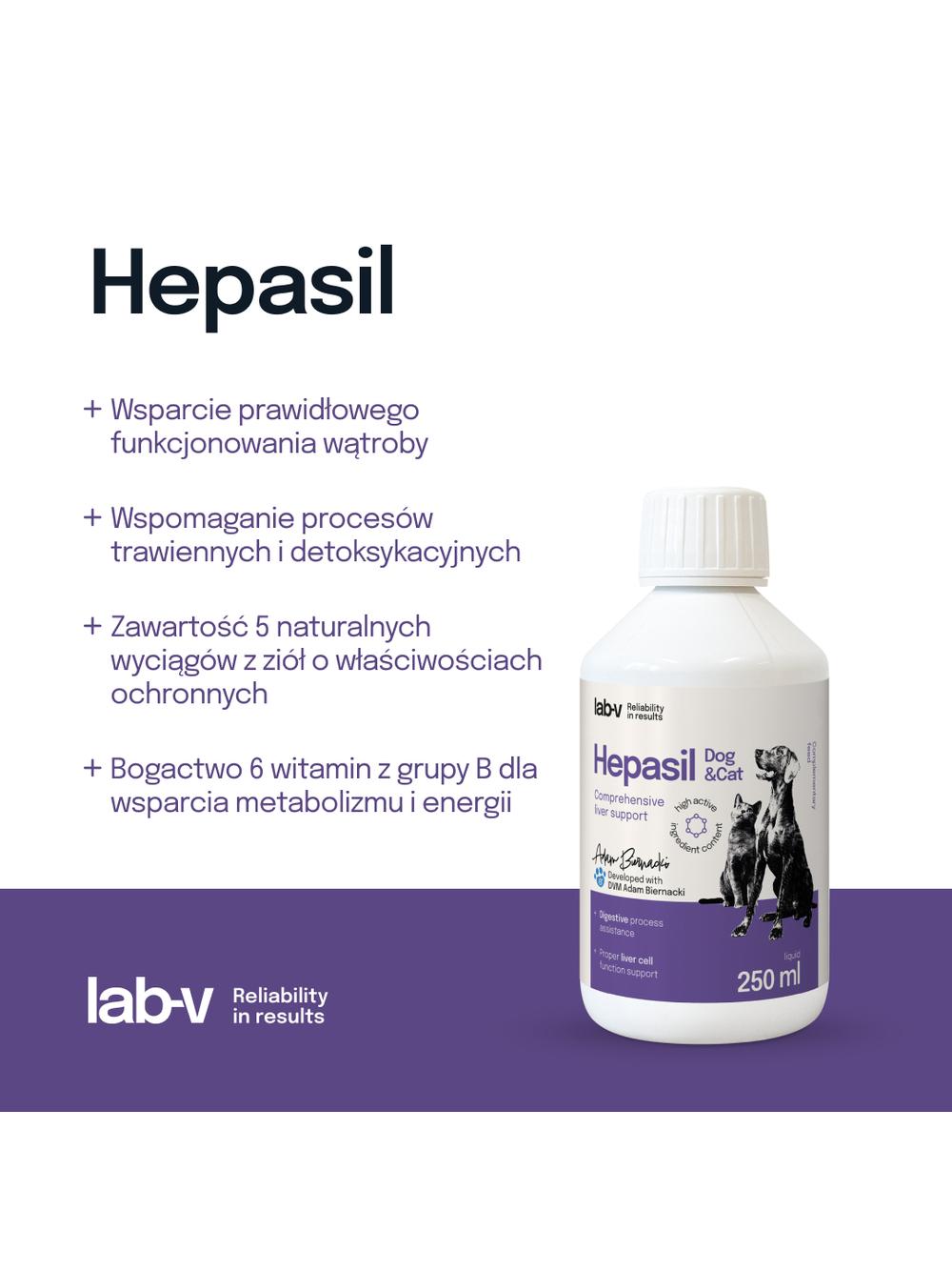 Lab-v Hepasil Dog & Cat preparat na poprawę funkcjonowania wątroby dla psa i kota 250 ml