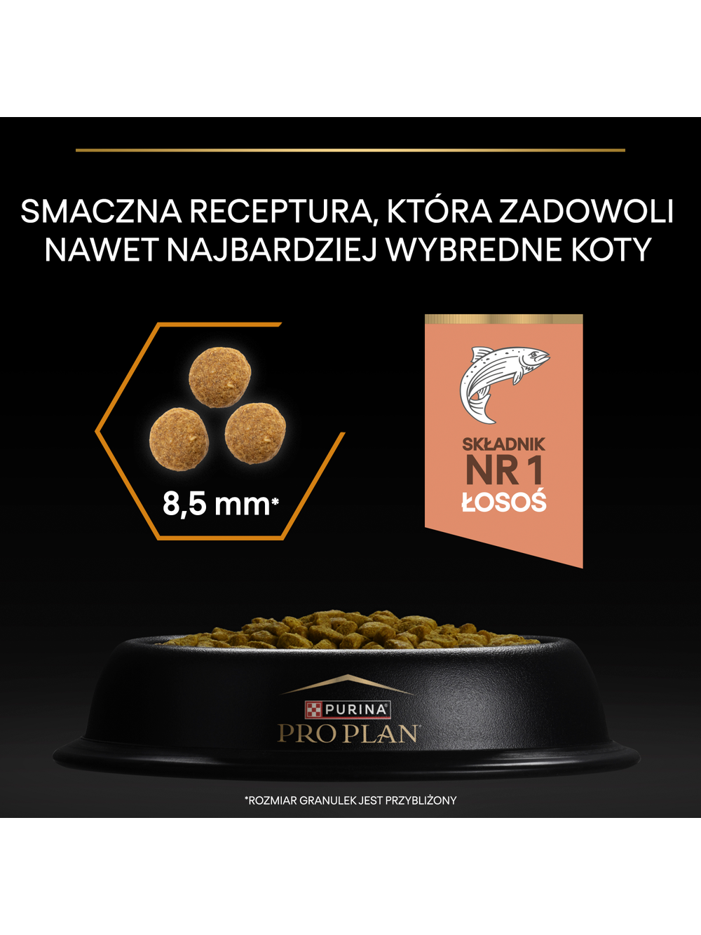 PRO PLAN Adult Derma Care Bogata w Łososia Sucha karma dla kota 1,5kg