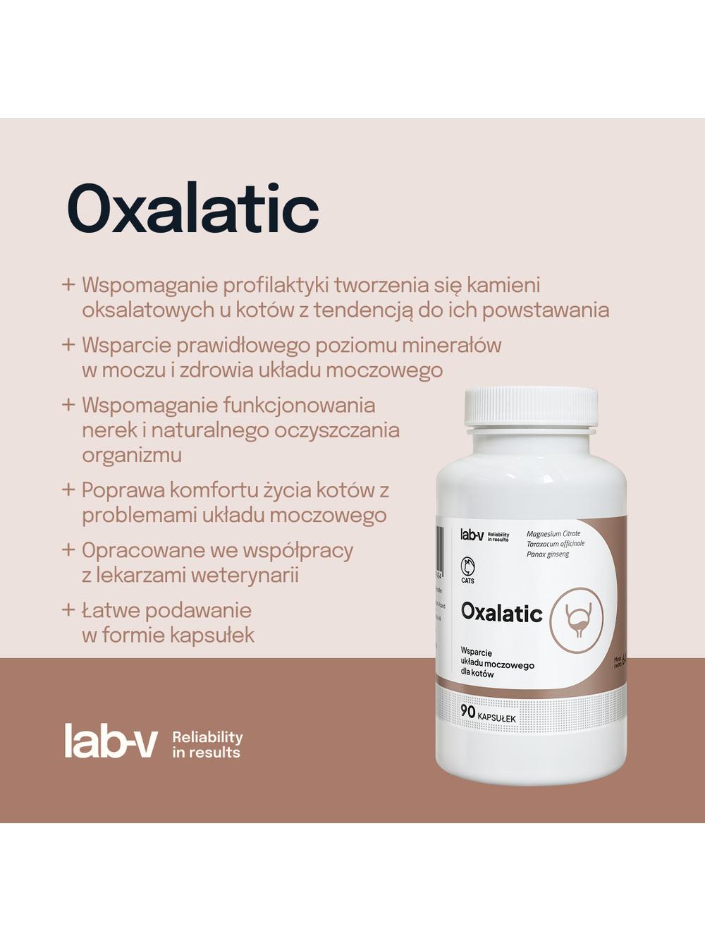 Lab-v Oxalatic – Wsparcie dla kotów przy tworzeniu się kamieni oksalatowych 90 kapsułek