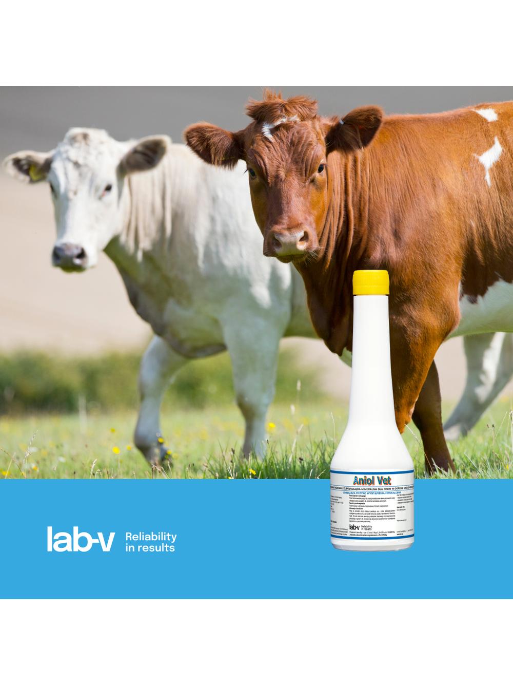 Lab-v Aniol Vet - Mieszanka Paszowa Uzupełniająca Mineralna Dla Krów W Okresie Okołoporodowym Zmniejsza Ryzyko Wystąpienia Hipokalcemii 500g