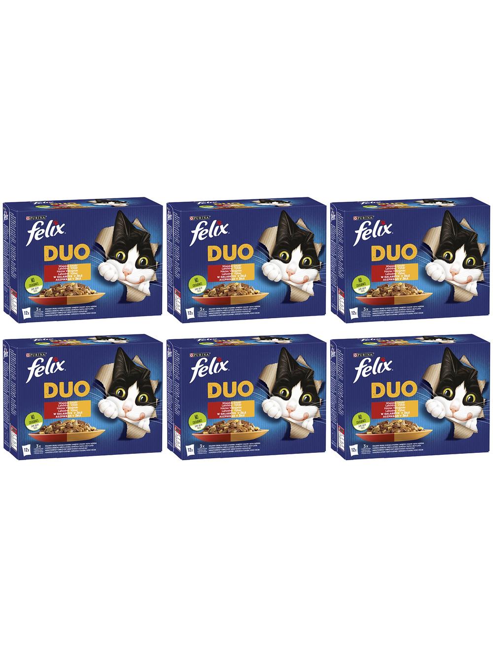 FELIX Duo Wiejskie Smaki w galaretce; 72x85g