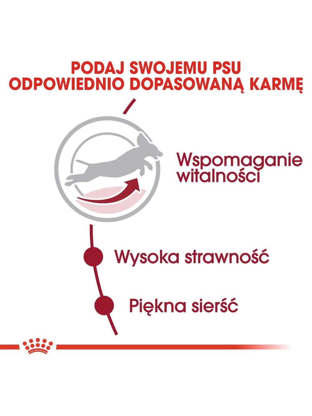 ROYAL CANIN Medium Adult 7+ 15kg karma sucha dla psów starszych od 7 do 10 roku życia, ras średnich + niespodzianka dla psa GRATIS!