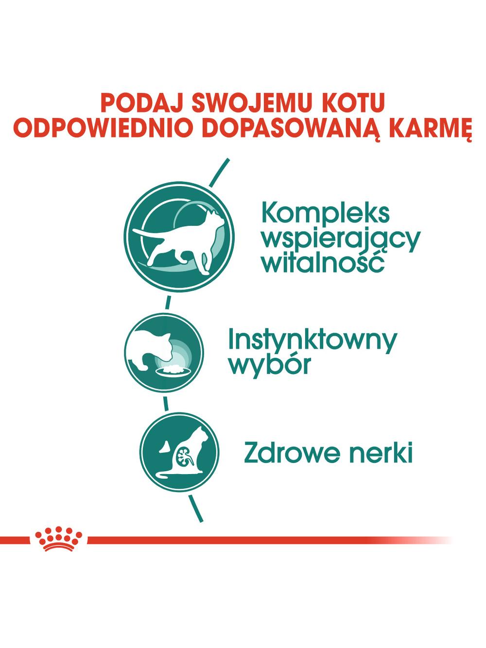 ROYAL CANIN  Instinctive +7 12x85g w sosie karma mokra dla kotów starszych, wybrednych + Royal Canin piłka dla kota GRATIS!!!