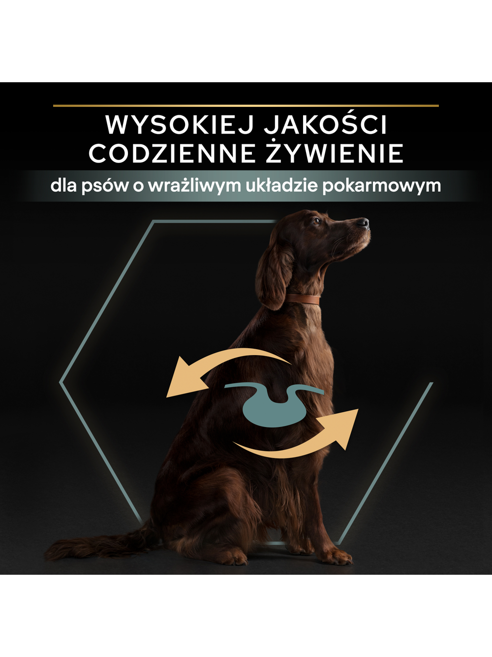 PRO PLAN Sensitive Digestion Large Athletic Adult Karma dla psów bogata w jagnięcinę 14kg
