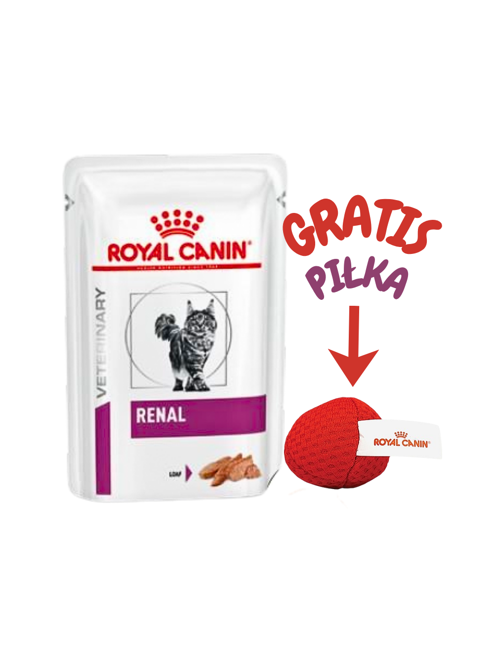 ROYAL CANIN Cat Renal 12x85g saszetka (pasztet) +  piłka dla kota GRATIS!!