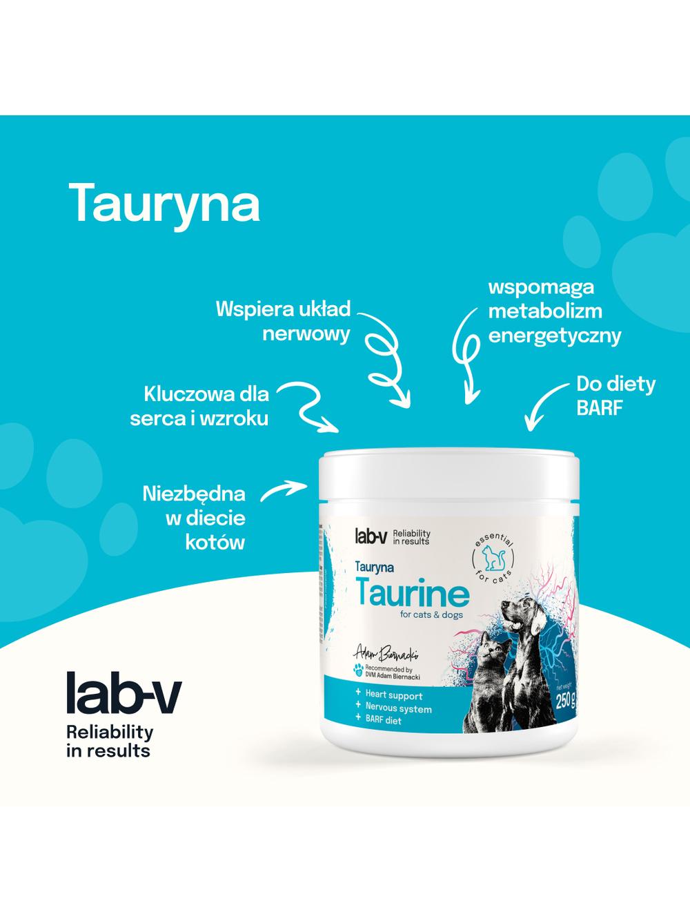 Lab-v Tauryna – Kluczowe wsparcie serca, wzroku i układu nerwowego 250 g
