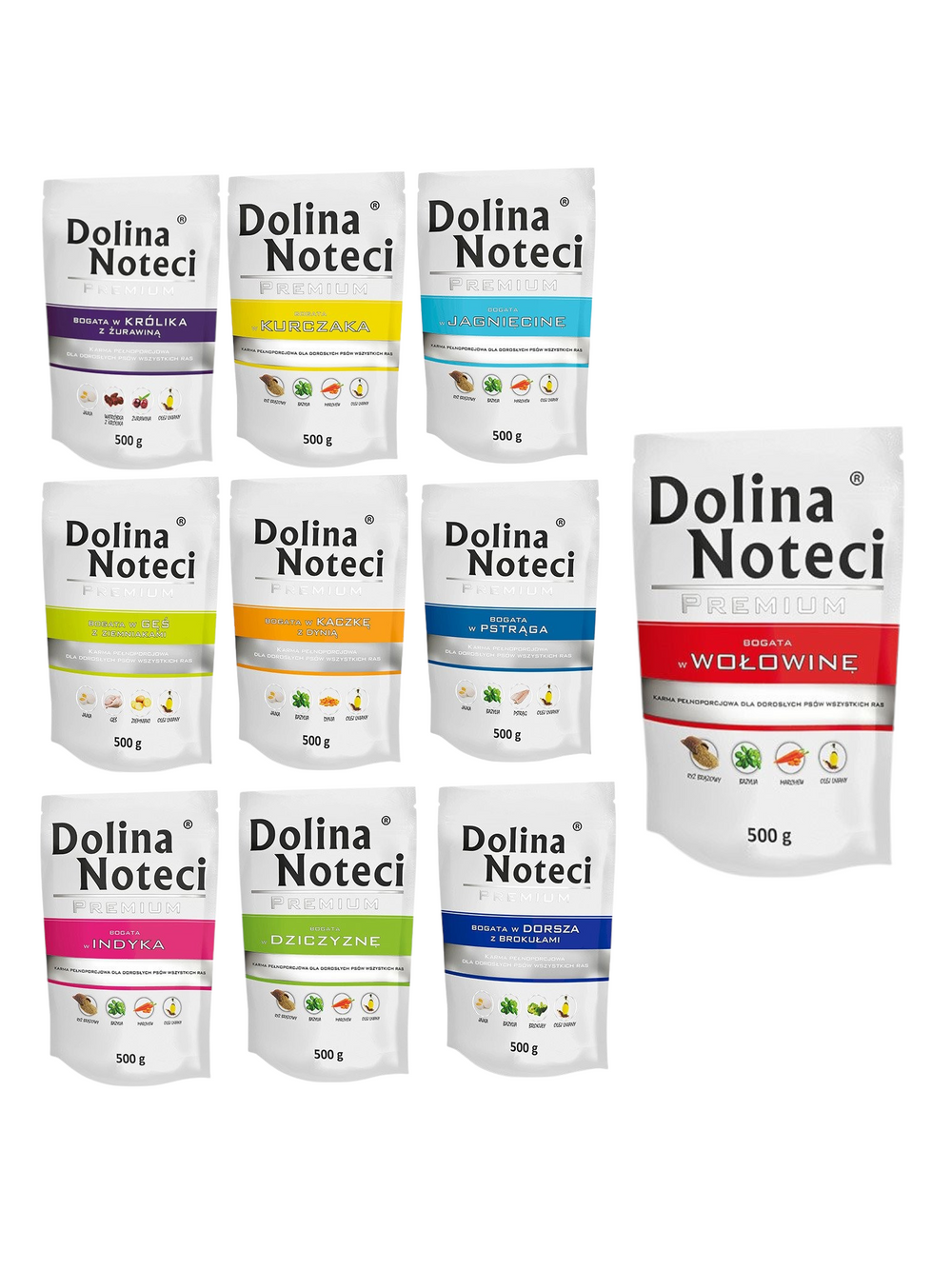 Dolina Noteci PREMIUM Mix wszystkich smaków 10x500g