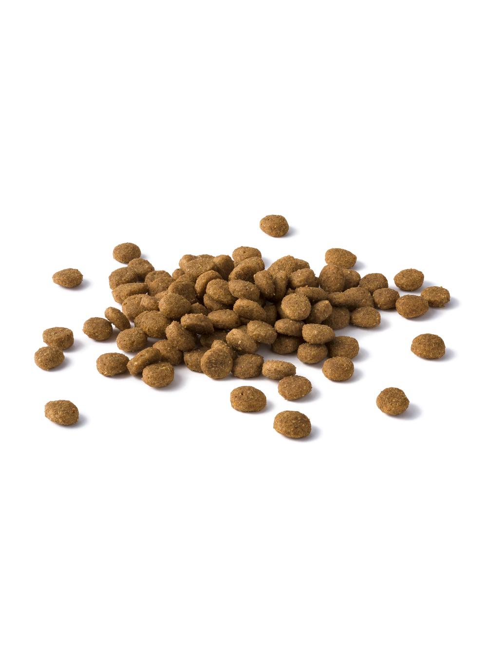 PURINA Cat Chow Urinary Karma bogata w kurczaka 1,5kg