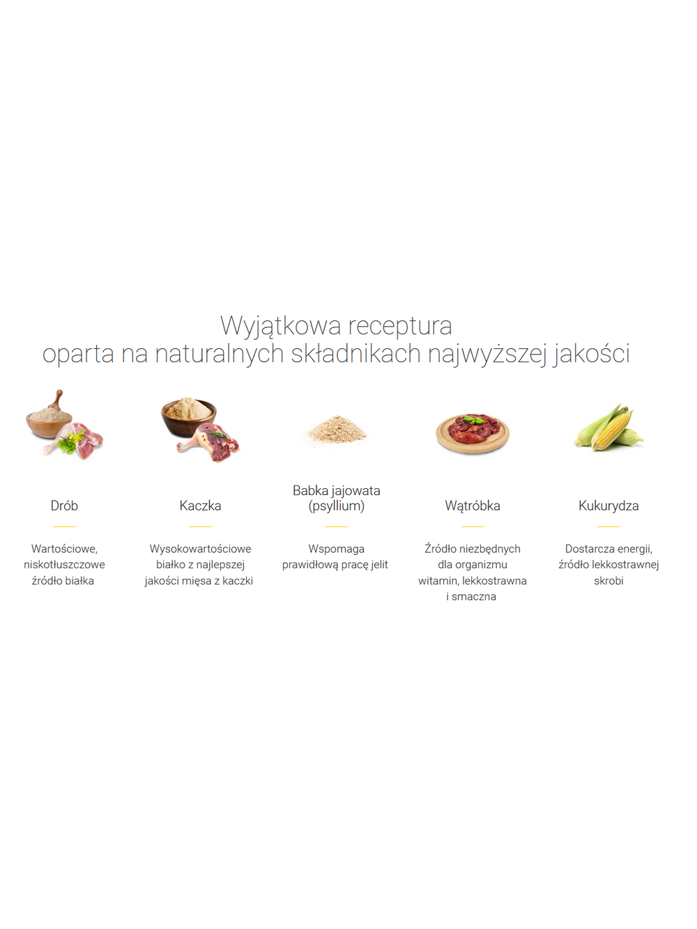 JOSERA Catelux 400g + niespodzianka dla kota GRATIS!